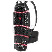 Dainese protector de espalda Pro-Armor Back Long 2.0 - Altura >175cm/68.9in | 20187621000100 
