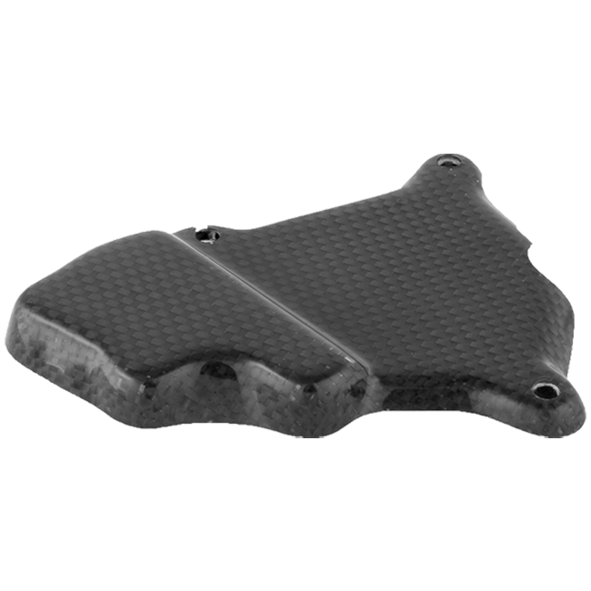 Cubierta de Pick-Up de Carbono LighTech BMW S1000RR K46 (09-16) CARB1018 