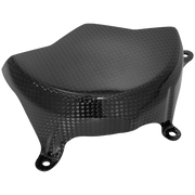 Cubierta del alternador de carbono LighTech Ducati Panigale V4/S/R (18-24) CARD0840 