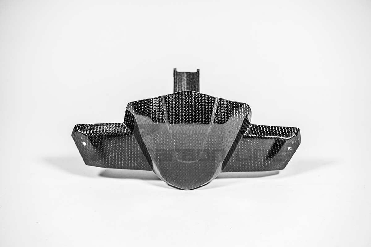 Soporte de instrumentos 200g AP Carbon Line Aprilia RSV4/RR/1100 Factory (21-25) 
