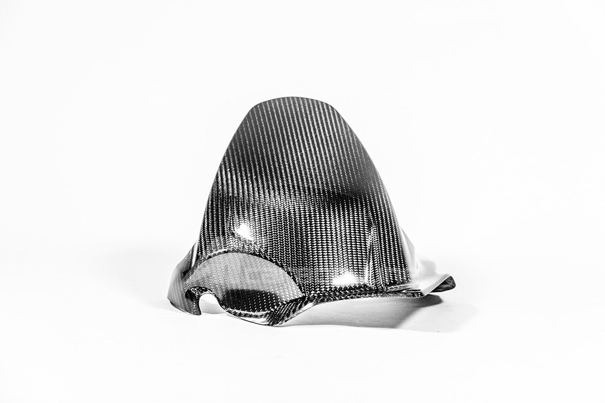 Guardabarros trasero 200g AP Carbon Line Ducati Panigale V4/S (2025) 