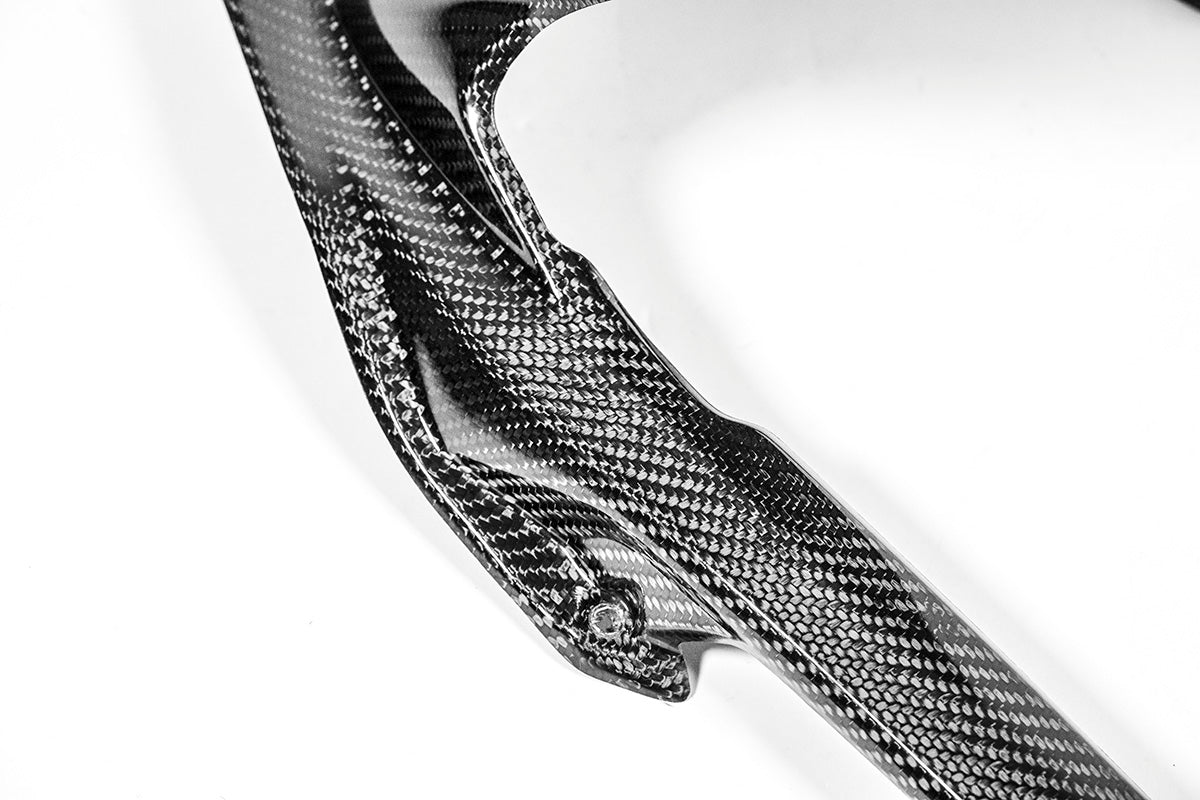 Guardabarros trasero 200g AP Carbon Line Ducati Panigale V4/S (2025) 