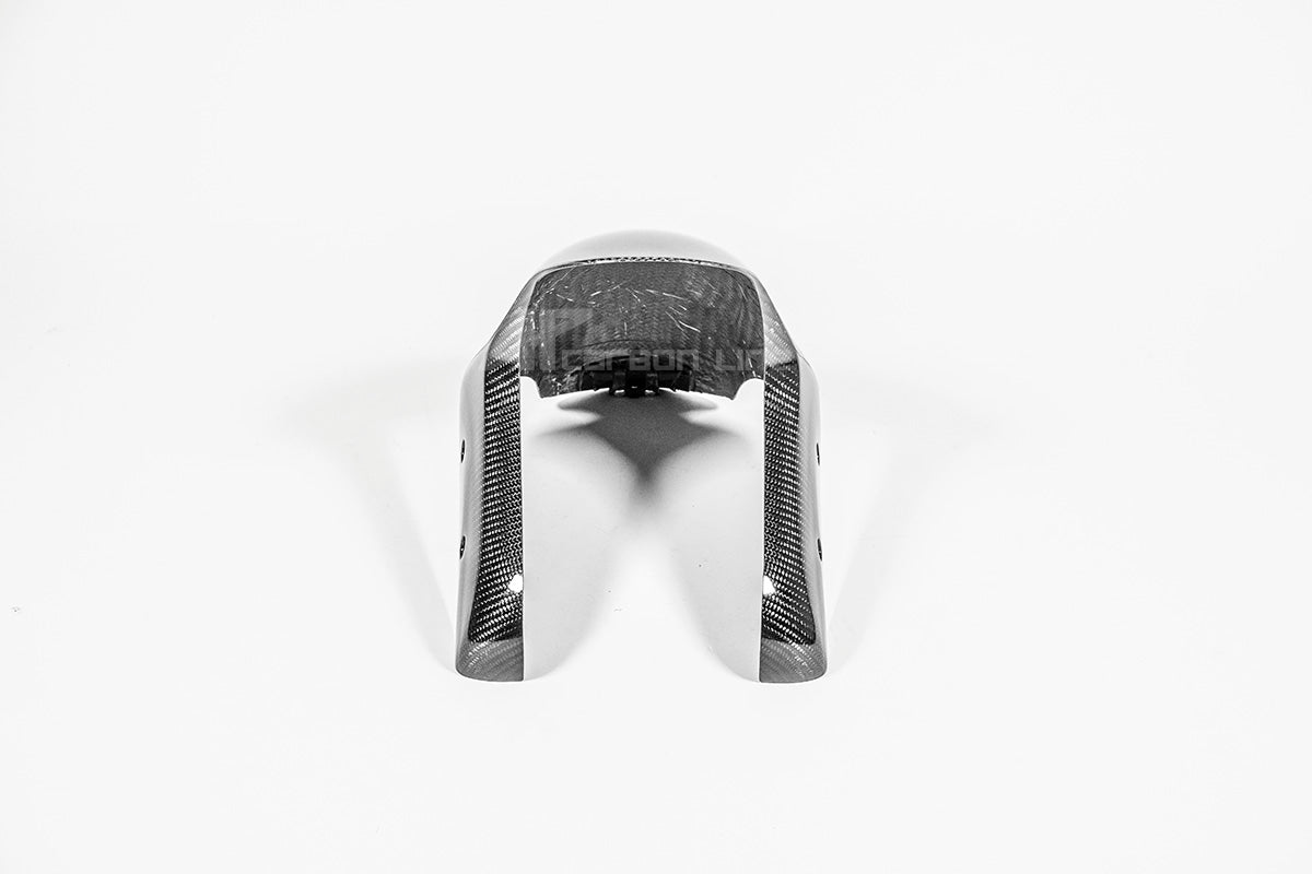 Guardabarros delantero 200g AP Carbon Line Ducati Panigale V4/S (2025) 