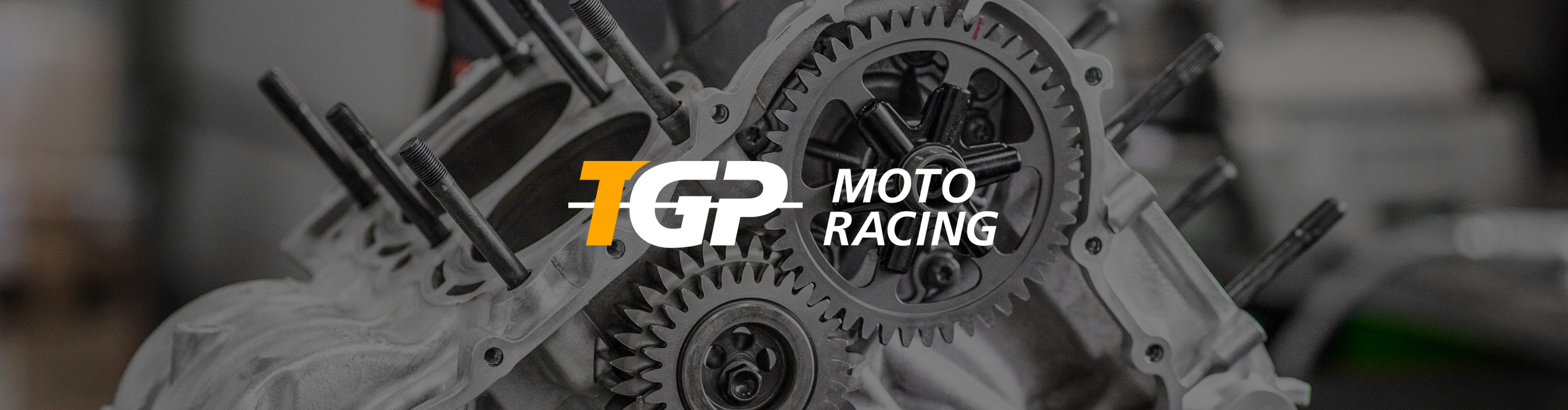 TGP MotoRacing