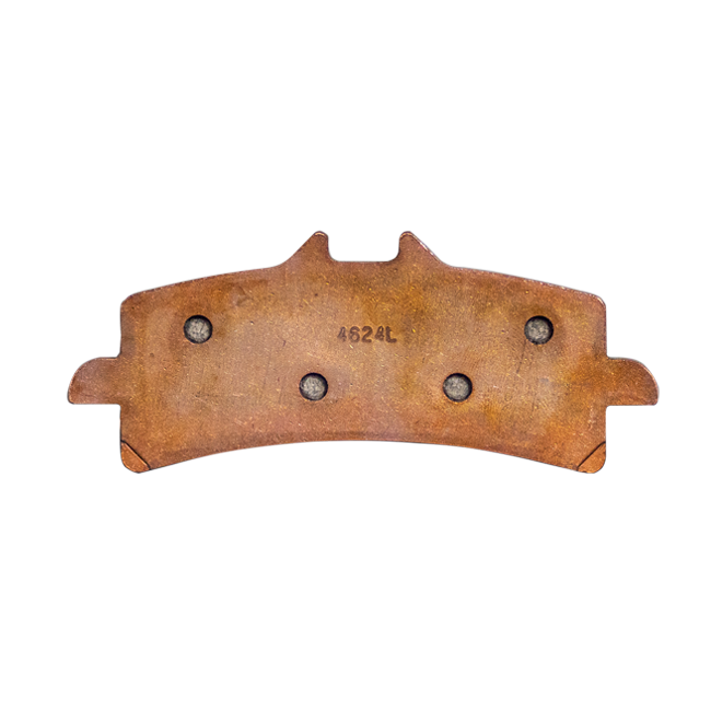 ZCOO B005 EXC Endurance Racing-Pastillas de freno para Aprilia RSV4/1100 Factory/R/RR/RF (09-24) | B005EXC 