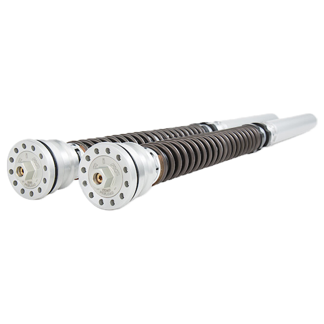 Kit de Cartucho Öhlins FKR Racing (TTX 25) FKR 108 Ducati Panigale V4 S (18-20) 