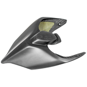 Carcasa trasera de carbono PlasticBike Ducati Panigale V2 955 (20-24) 