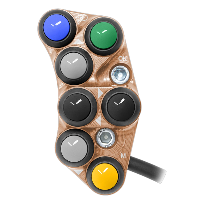 Lenkerschalter Race links JetPrime Triumph Street Triple 765 R (17-19) JP PSR TR039