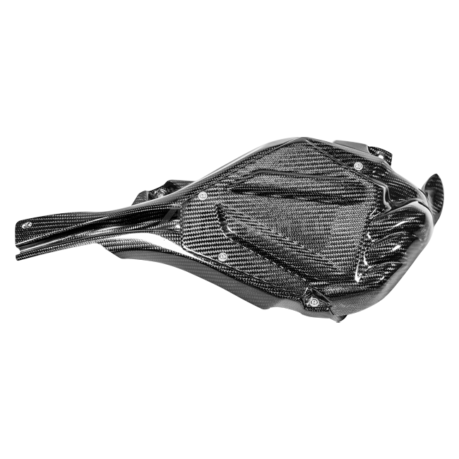 Cubierta de ECU con canal de refrigeración 200g AP Carbon Line Yamaha YZF-R1/M RN65 (20-25) 