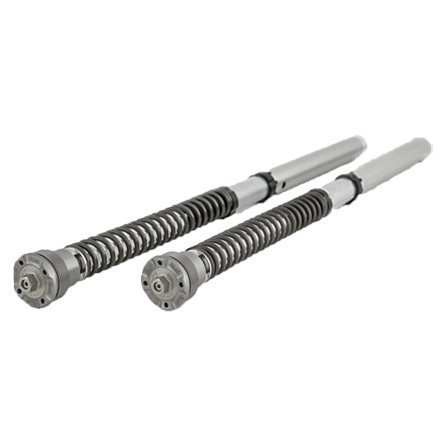 Kit de cartucho Öhlins NIX 30 FGK 219 Ducati Panigale V4 S (18-21) 