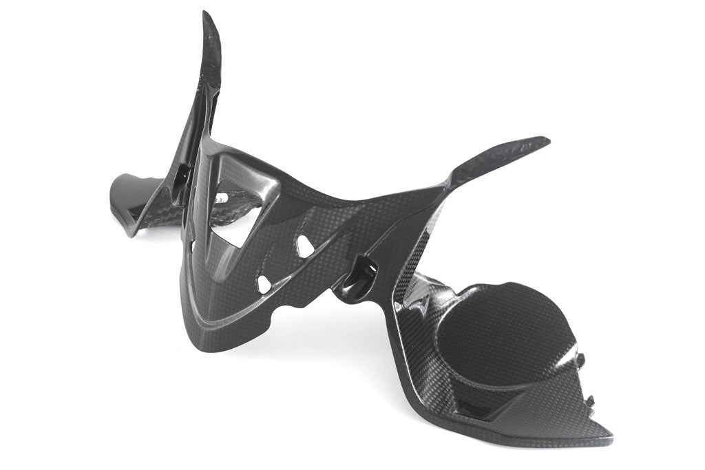 Cubierta de instrumentos de carbono Fullsix Ducati Panigale 959 (16-19) 