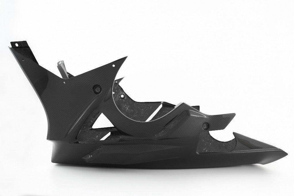 Spoiler de bicho "Street" Carbono Fullsix BMW S1000RR K46 (09-14) 