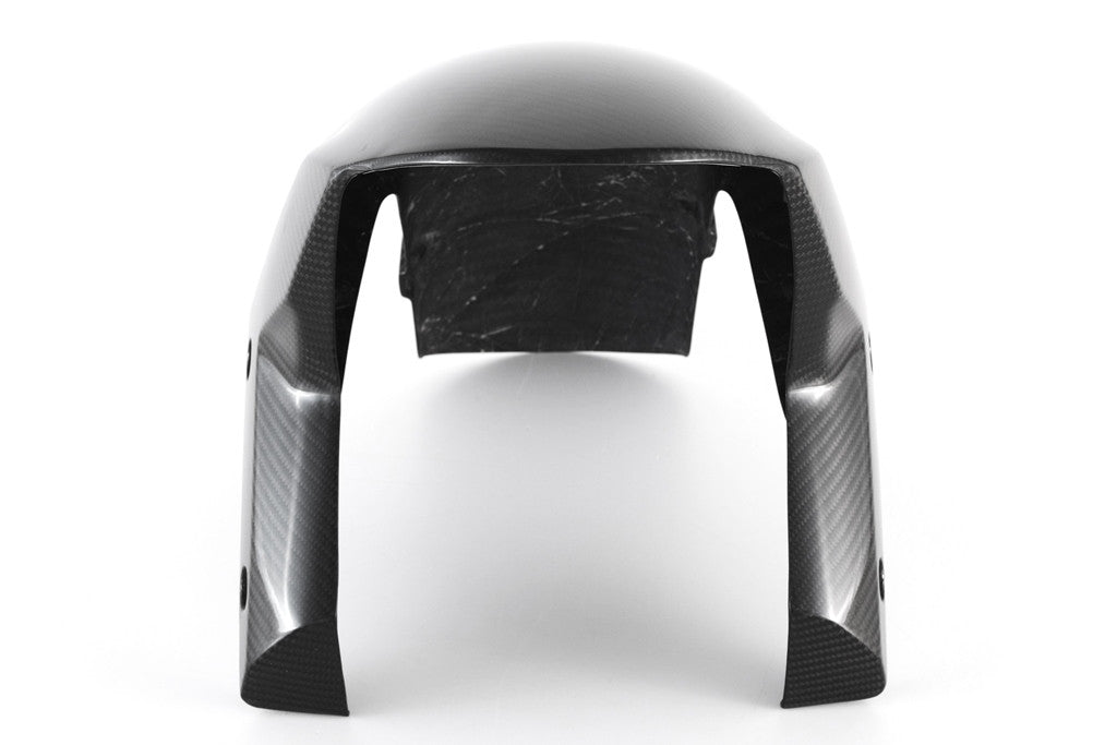 Guardabarros delantero de carbono Fullsix Kawasaki ZX-10 R (11-15) 