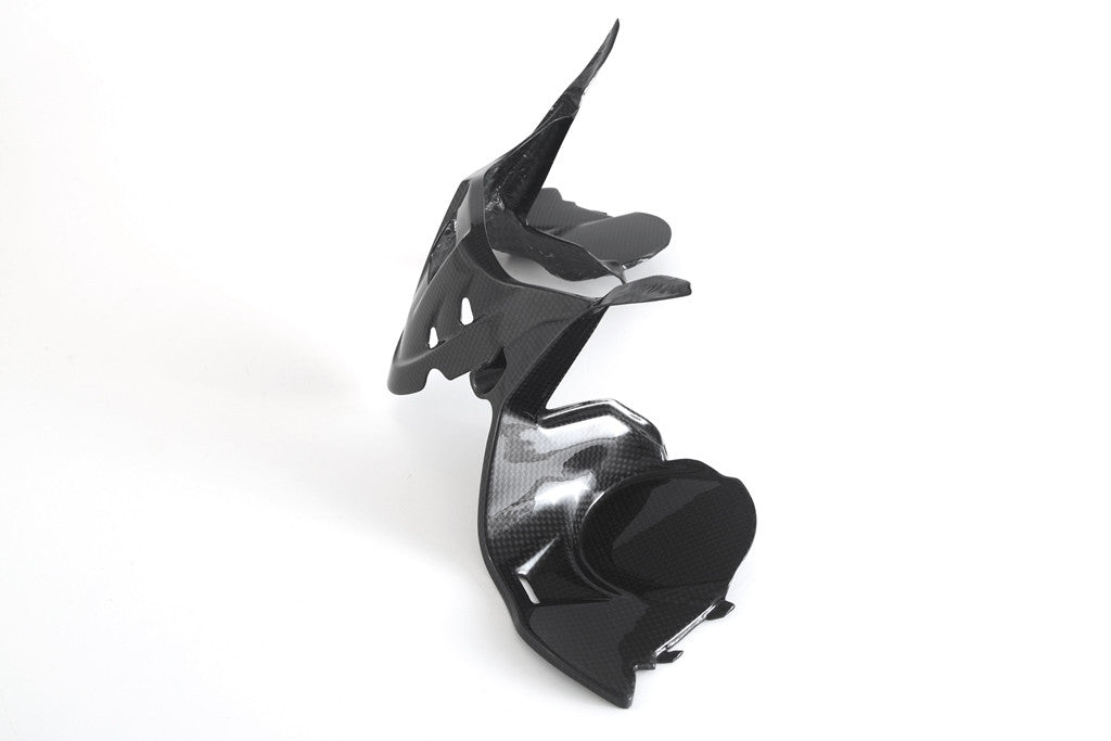 Cubierta de instrumentos de carbono Fullsix Ducati Panigale 1299/S (15-18) 
