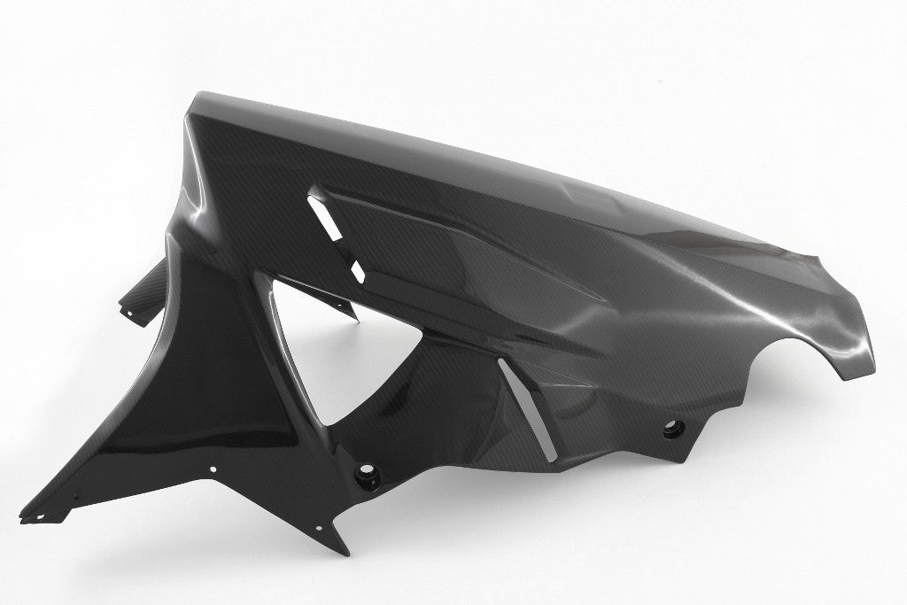 Spoiler de bicho "Street" Carbono Fullsix BMW S1000RR K46 (09-14) 