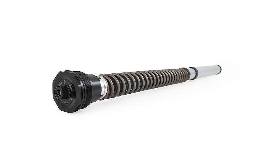 Kit de cartucho Öhlins NIX 30 FGK 229 Ducati Panigale 959 (16-19) 