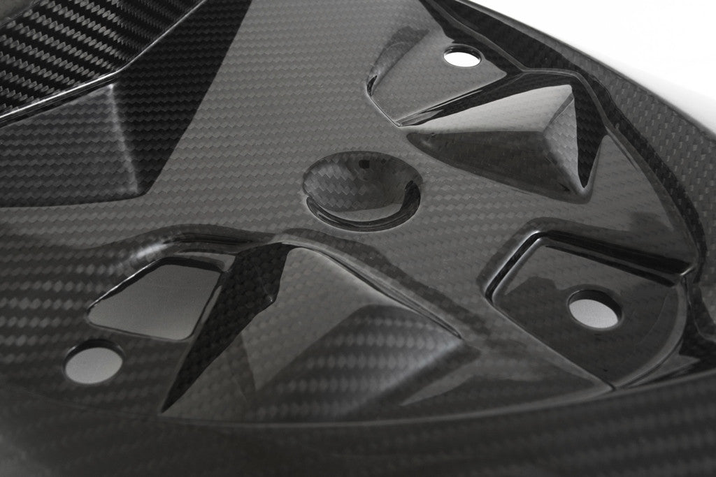 Parte trasera de carbono Fullsix BMW S1000RR K46 (15-18) 